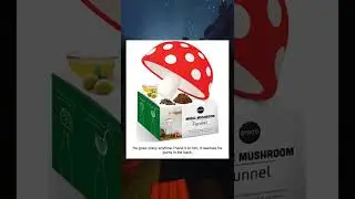 OTOTO Magic Mushroom   Foldable Kitchen Funnel   Small Funnel with Wide Mouth for Jars, Canning