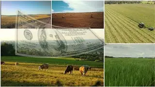 How Pakistan Earn Income. 60% of Earning from Agriculture Items : Cotton, Rice, Wheat, Sugar cane.