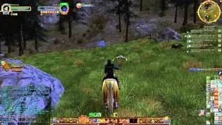 Roving Threats in Western Gondor - Part 4 - Skorkaz