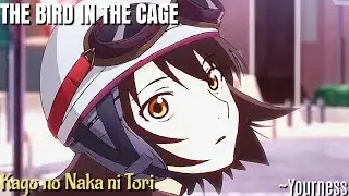THE BIRD IN THE CAGE || Sing 
