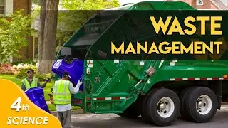 Waste Management | Chitti