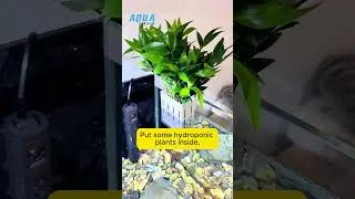 Make Your Fish Tank Come Alive with These Cute Hanging Planters!
