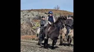 Hestar &aacute; Rau&eth;h&oacute;lum - horseback riding at Rau&eth;h&oacute;lar