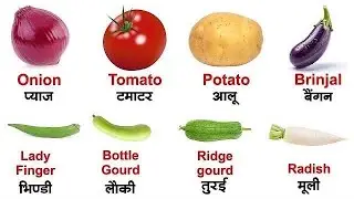 Vegetable Names | सब्जियो के नाम | Vegetables Name in Hindi and English | Sabjiyo ke Naam