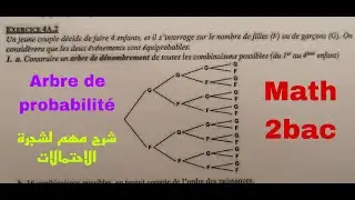 arbre de probabilite....math de 2bac scientifique
