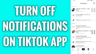 How To Turn Off Notifications On TikTok App