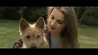 (REUPLOUD)JDabrowsky, Maffashion, Masterczułek, MultiGameplayGuy, Ajgor w nowej reklamie CocaColi
