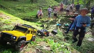 Trucks And Buggies