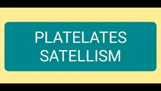 What is platelet Satellitism?What causes platelet Satellitism?What do you mean by plt aggregation?