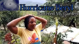 Hurricane Beryl Battered My Garden || Before & After Hurricane Beryl 🌀 Devastating My Garden
