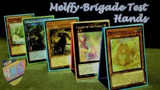 Melffy Brigade Test Hands (Team SNG) Yu-Gi-Oh! Trading Card Game