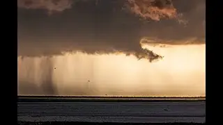 After the Storm, St. Petersburg, Florida