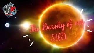 The Sun's Vital Role in Supporting Life on Earth