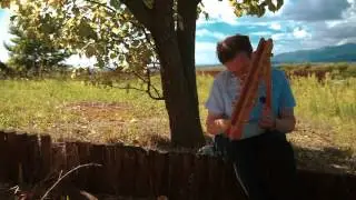 The Lethe Harp - Epigonion (Psaltery) - Ancient Harp - Luthieros Music Instruments