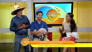 NITZIA CHAMA HOSTING DEMO