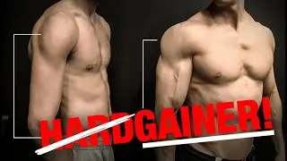 Rutina de Hombros Consejos para Volumen ¡PARA ECTOMORFOS!