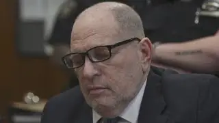 NY News Update - Judge finds cause to hold Trump administration in contempt, Weinstein trial jury se