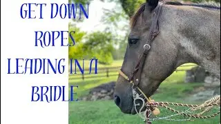 Get Down Ropes WHY and Ways.