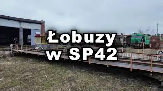 Łobuzy w SP42