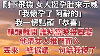 【完結】剛下飛機 女人挺孕肚來示威，「我懷孕了 阿辭的」我一愣點頭「恭喜」轉頭離開 誰料當晚接風宴，他帶女人推門而入，丟來一紙協議 一句話我傻了#婚姻 #豪门 #情感