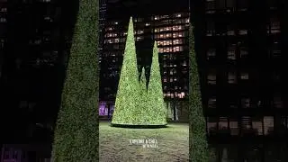 Merry Christmas! 🎄 #ChristmasInToronto #Christmas2024 #ChristmasLights #TorontoOntarioCanada