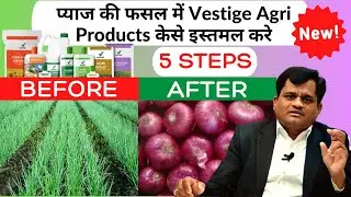 प्याज की फसल में Vestige Agri Product कैसे इस्तेमाल करे
