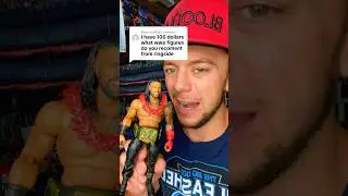 YOU HAVE $100, WHAT WWE FIGURES TO BUY!