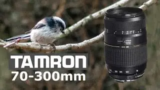 Nikon D3000 | Tamron 70-300 мм