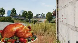 Turkey Dinners