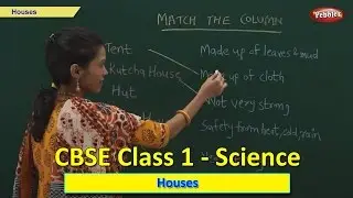 Houses | Class 1 CBSE Science | Science Syllabus Live Videos | Video Training