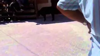 01082010017