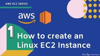 AWS Instances | How To Create a Linux AWS EC2 Instance | AWS EC2 Tutorial | Dev Dynamics