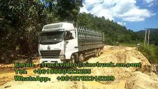 howo cargo truck