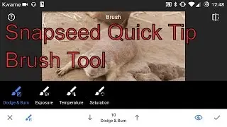 Snapseed Quick Tips - Brush Tool