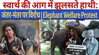 Elephants burning in the fire of selfishness: Protest at Jantar Mantar | Elephant Welfare Protest...