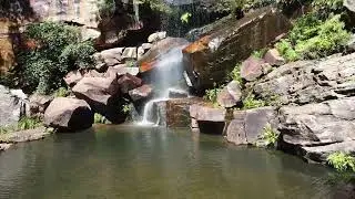 Byfield national park, 5 rocks and blackdown tablelands.