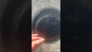 🚨Ice Fishing Safety❌