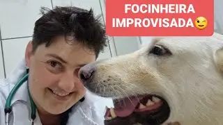 FAZENDO UMA FOCINHEIRA IMPROVISADA