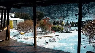 Простая и размеренная корейская сельская жизнь даже в снежную бурю~!!