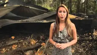 WUFT News - Tire Fire