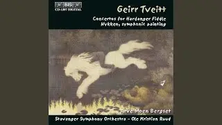 Hardanger Fiddle Concerto No. 1, Op. 163: I. Allegretto