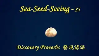 Discovery Proverbs 發現諺語 S5 Sea Seed Seeing 2022 06 26