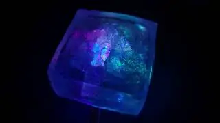 Crackly Silicone in Squishy Silicone