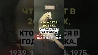 Что ждет в 2026 тех, кто родился в год кролика