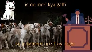Dogs not allowed in india??? | Sc judgement on stray dogs #dog #currentaffairs 