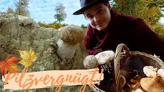 Der Pilzherbst in voller Pracht 🍁Steinpilze, Reizker, Lacktrichterlinge in Hülle und Fülle 🤩