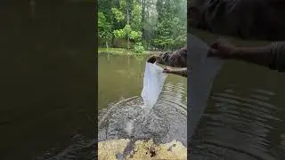 villa geratis mancing di puncak bogor