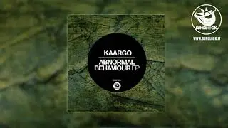 KAARGO - Transictor (Original Mix) - SNK106