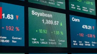 Agricultural Commodities &ndash; Overview of Market Participants