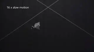 DelFly Nimble flying fast forward